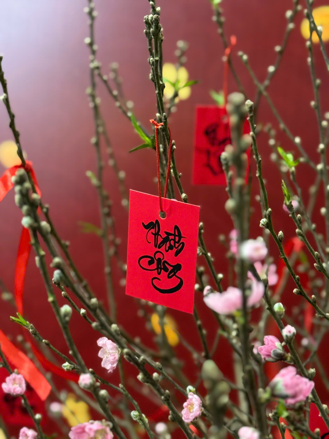 🌸 ĐONG ĐẦY SẮC XUÂN 2025 CÙNG KIOTVIET 🌸